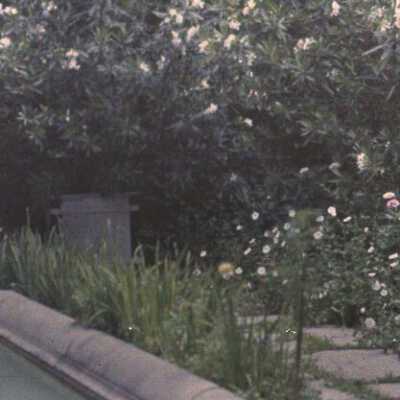 Copyright: Lake Forest Lake Bluff Historical Society