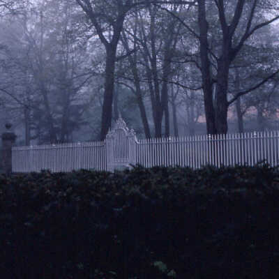 Reed Estate