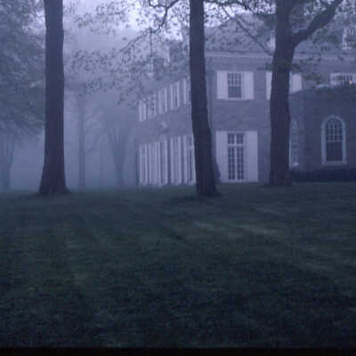 Reed Estate
