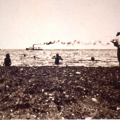 Beach - Forest Park