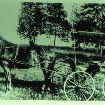 Horse and phaeton