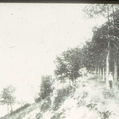 Forest Park, north end