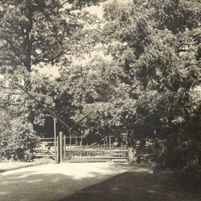 Copyright: Lake Forest-Lake Bluff Historical Society