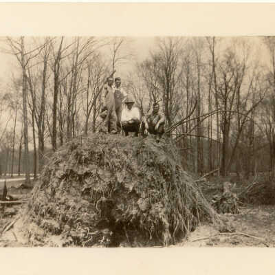 Elmwood Farm