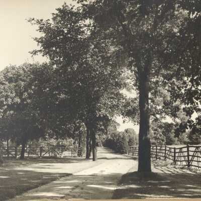 Copyright: Lake Forest-Lake Bluff Historical Society
