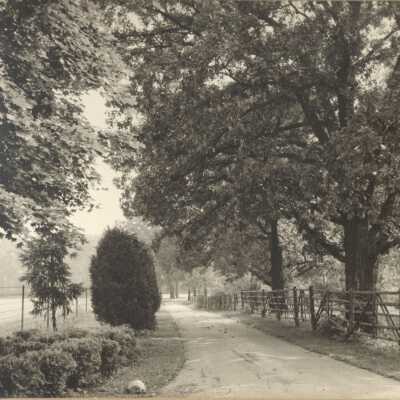 Copyright: Lake Forest-Lake Bluff Historical Society