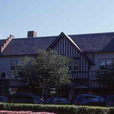Half-Timber and Carbisteps