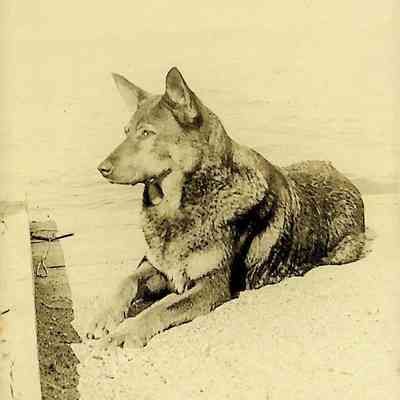 Unidentified photo