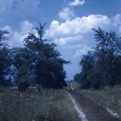 Wagon Track