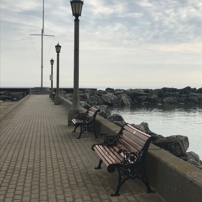"Lake Forest beach"
