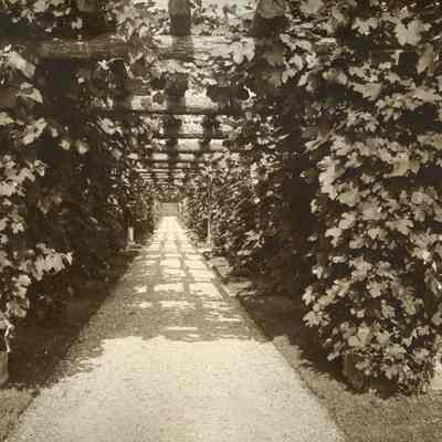 Mellody Farm Gardens 9