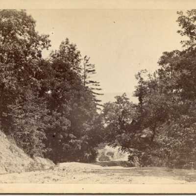 Sandy hill with trees
