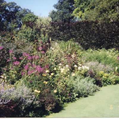 903 E. Rosemary garden