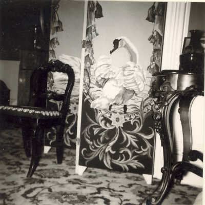 Swan screen in Quinlan home