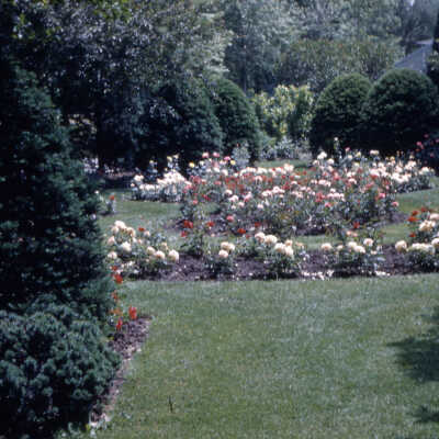 Gardens of Lake Forest