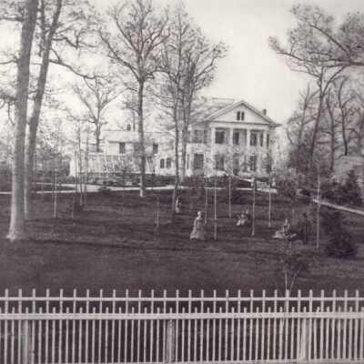 The Evergreens