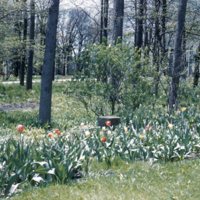 Gardens of Lake Forest