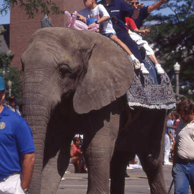 Lake Forest Day Parade
