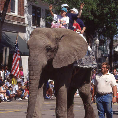 Lake Forest Day Parade