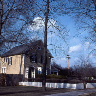 290 Vine