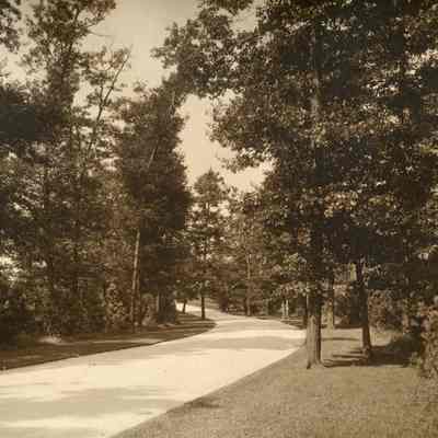 Mellody Farm Gardens 12
