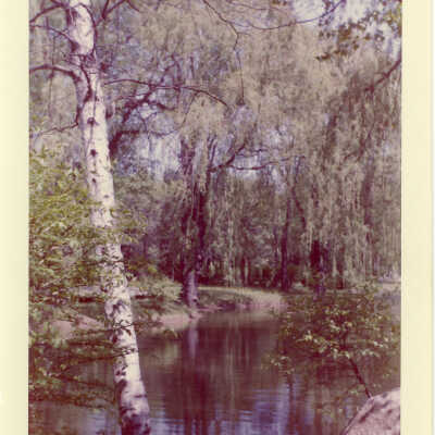 Fairlawn pond