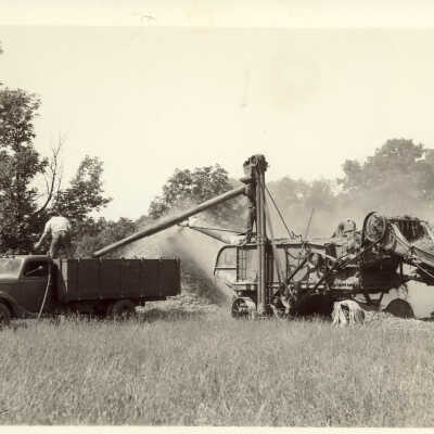 Photograph of a hay pile