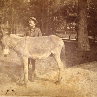 Boy with donkey