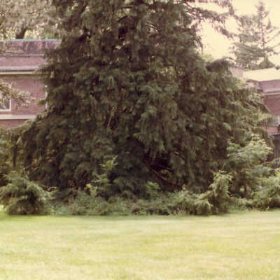 Residence of Mrs. George E. Batzel