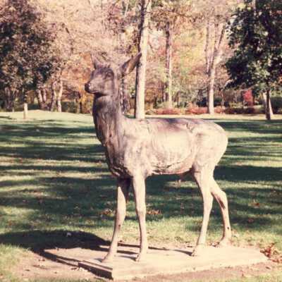 Bronze deer in Triangle Park