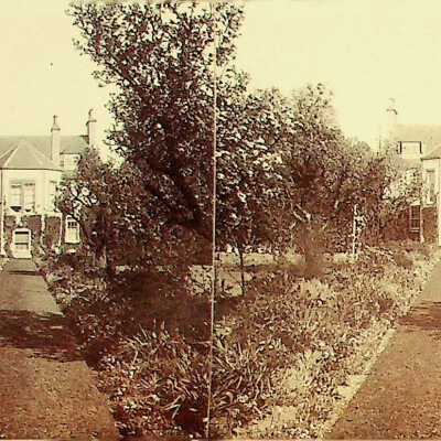 Album, Photograph