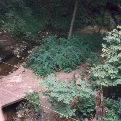 Copyright: Lake Forest-Lake Bluff Historical Society