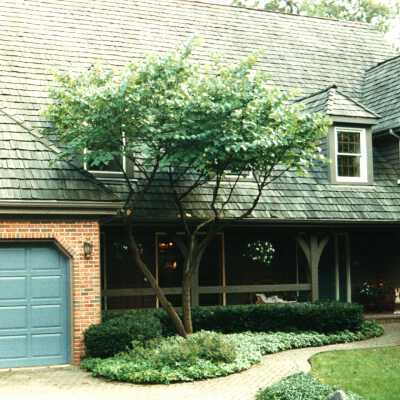 Tangley Oaks