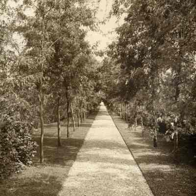 Mellody Farm Gardens 10