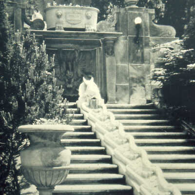 Villa Turricum