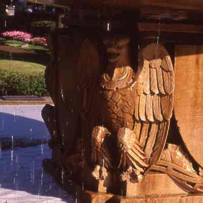 Eagle and Shield