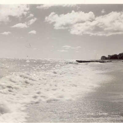 Forest Park Beach