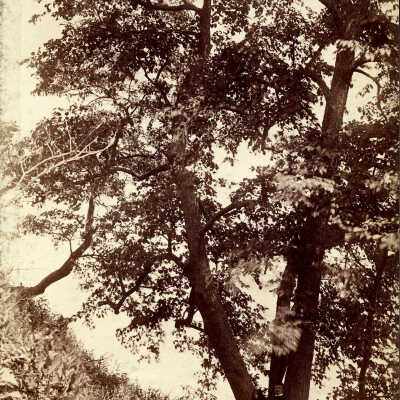 George Roberts