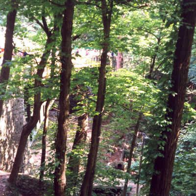 Copyright: Lake Forest-Lake Bluff Historical Society