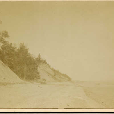 Beach and Bluff