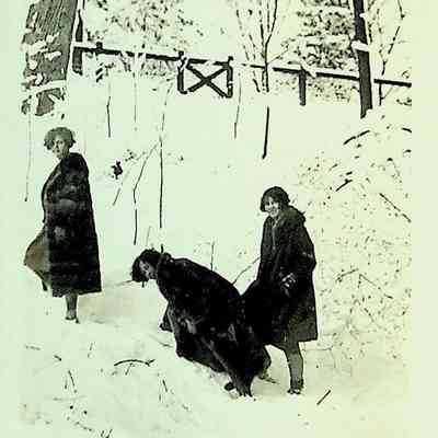 Unidentified photo