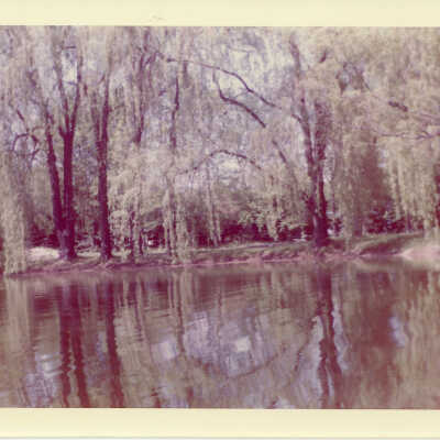 Fairlawn pond