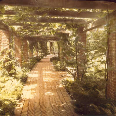 Pergola at Walden