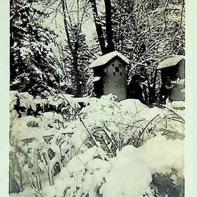 Unidentified photo