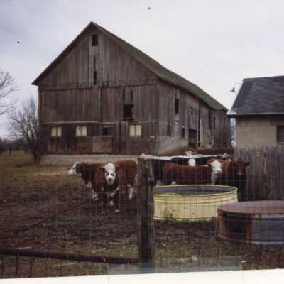 Everett Stock Farm