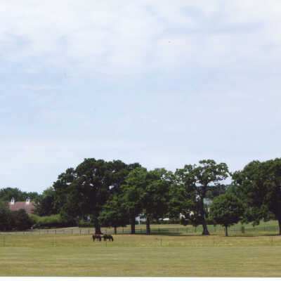 Crab Tree Farm