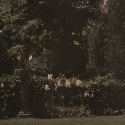 Havenwood