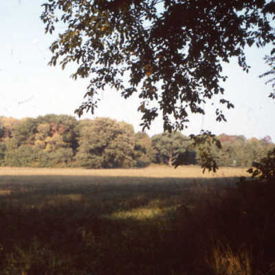 Crab Tree Farm
