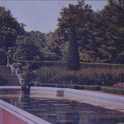 Villa Turicum Lily Pond