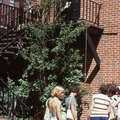 Architectural Slides: Unlabeled 31
